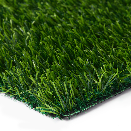 Angled close-up of turf blades and the corner of a sample